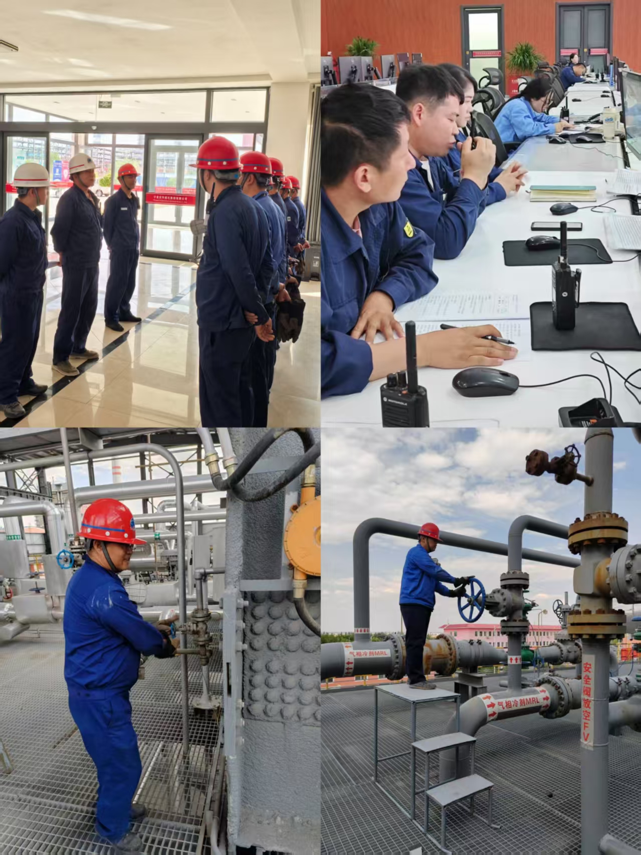 119dc354-50dd-11f0-b046-8cbd52c5c617.jpg 119dc354-50dd-11f0-b046-8cbd52c5c617.jpg